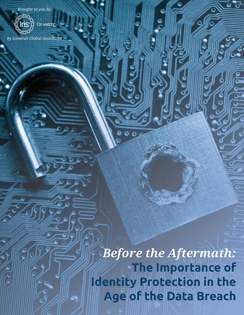 Before the Aftermath Databreach Whitepaper